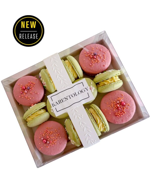 Elegant, Minimalist Macaron Packaging with Base, Insert, Clear Lid and Embossed Ribbon Band (20-pack) - Image 2